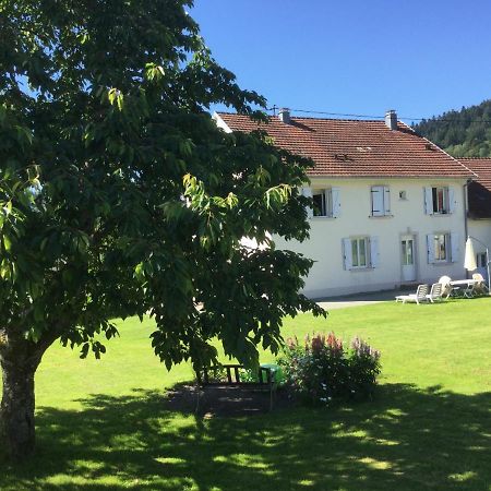 Gite Leonline Sur Les Hauteurs De Masevaux -Au Pied Des Vosges Exterior foto