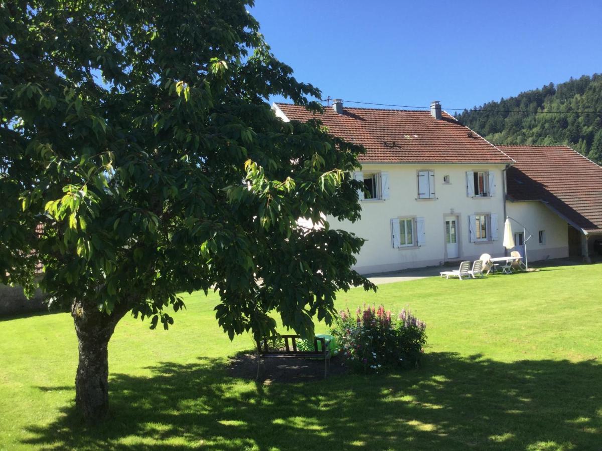 Gite Leonline Sur Les Hauteurs De Masevaux -Au Pied Des Vosges Exterior foto