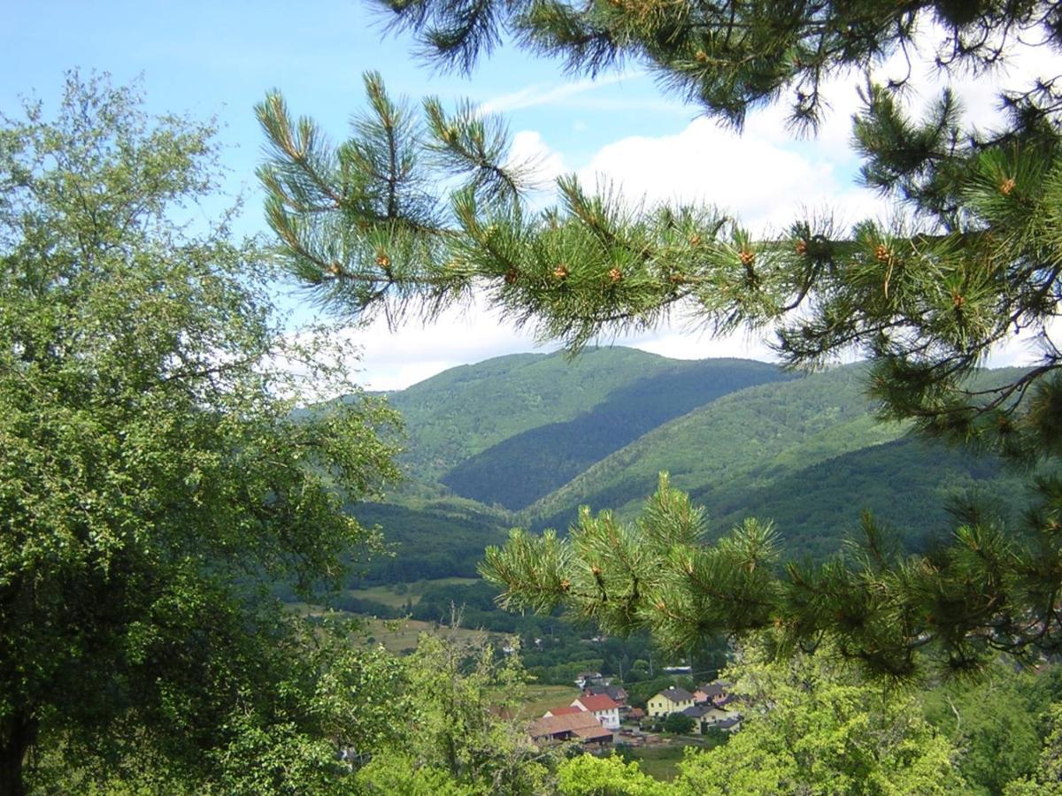 Gite Leonline Sur Les Hauteurs De Masevaux -Au Pied Des Vosges Exterior foto
