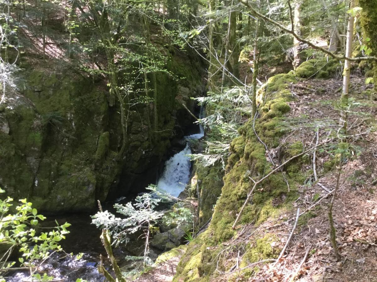 Gite Leonline Sur Les Hauteurs De Masevaux -Au Pied Des Vosges Exterior foto