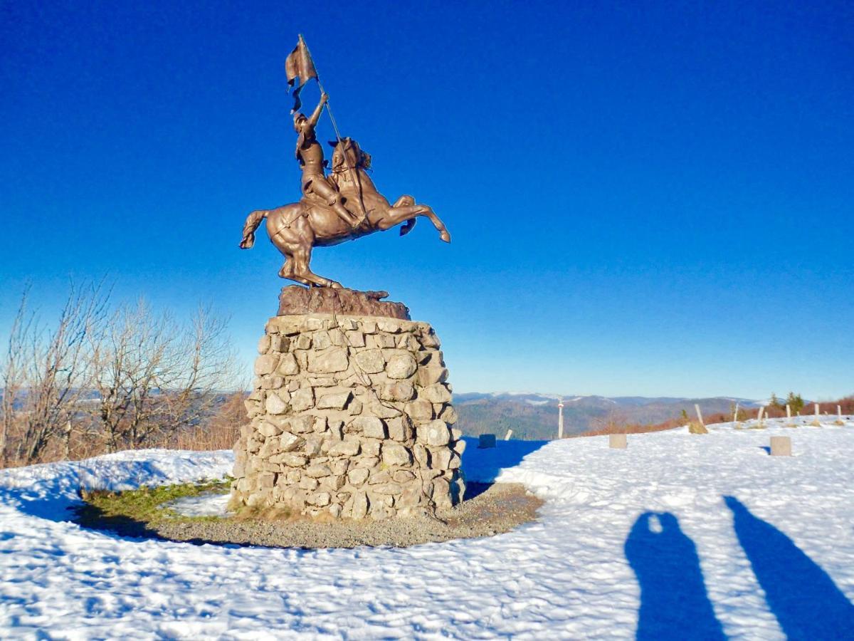 Gite Leonline Sur Les Hauteurs De Masevaux -Au Pied Des Vosges Exterior foto